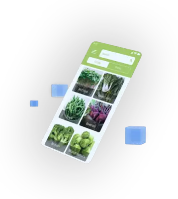 showcase-vegetables.webp